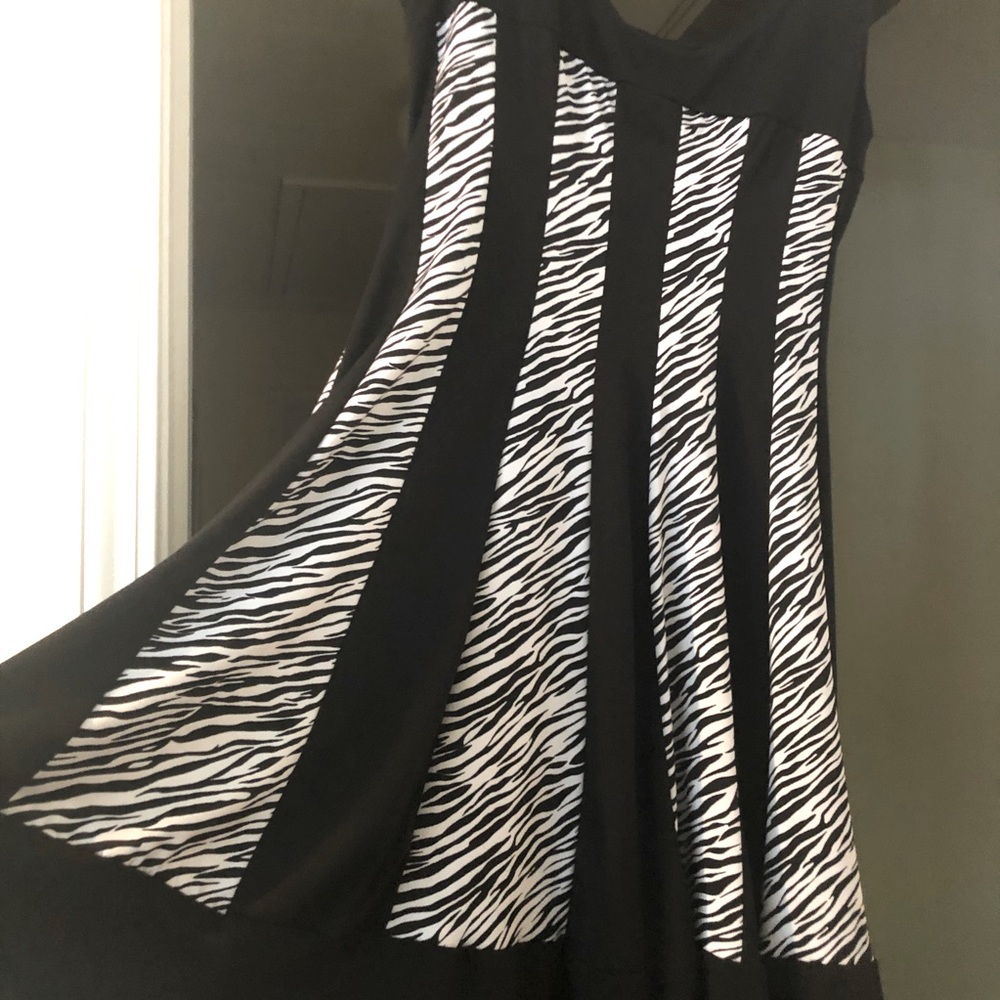 Hypnotized Zebra Print Fit & Flare Dress